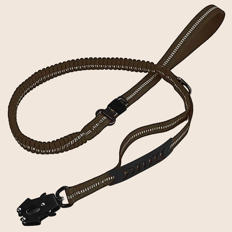 KAVRIONA Heavy Duty  Bungee Dog Leash
