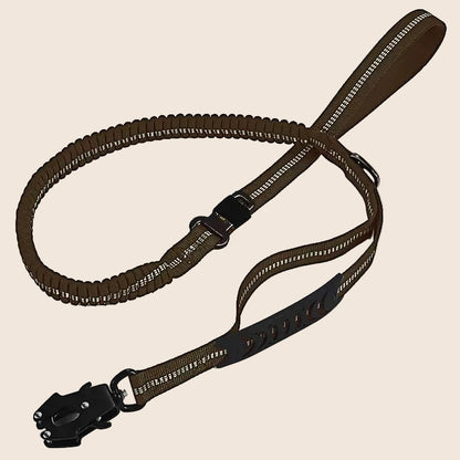 KAVRIONA Heavy Duty  Bungee Dog Leash