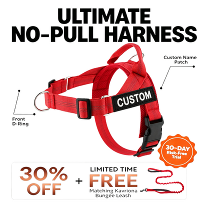 Personalized No-Pull Dog Harness