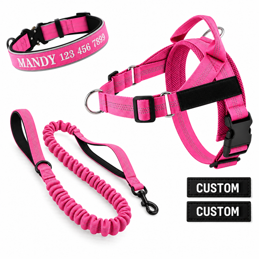 Personalized No Pull Dog Walking Bundle