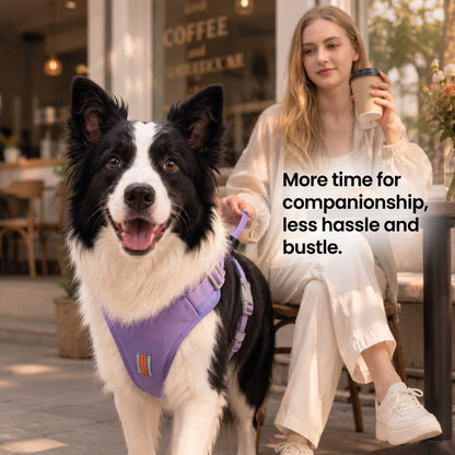 KAVRIONA Pro 2-in-1 Auto-Retract Leash Dog Harness