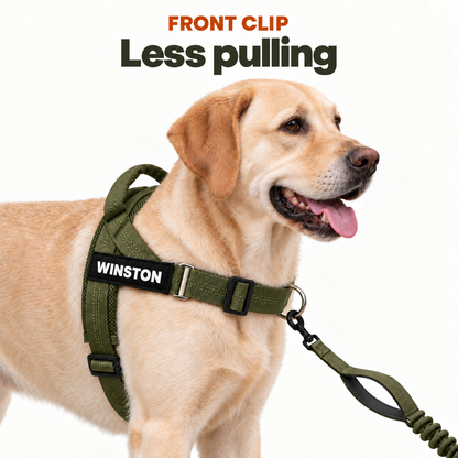 KAVRIONA No-Pull Dog Harness