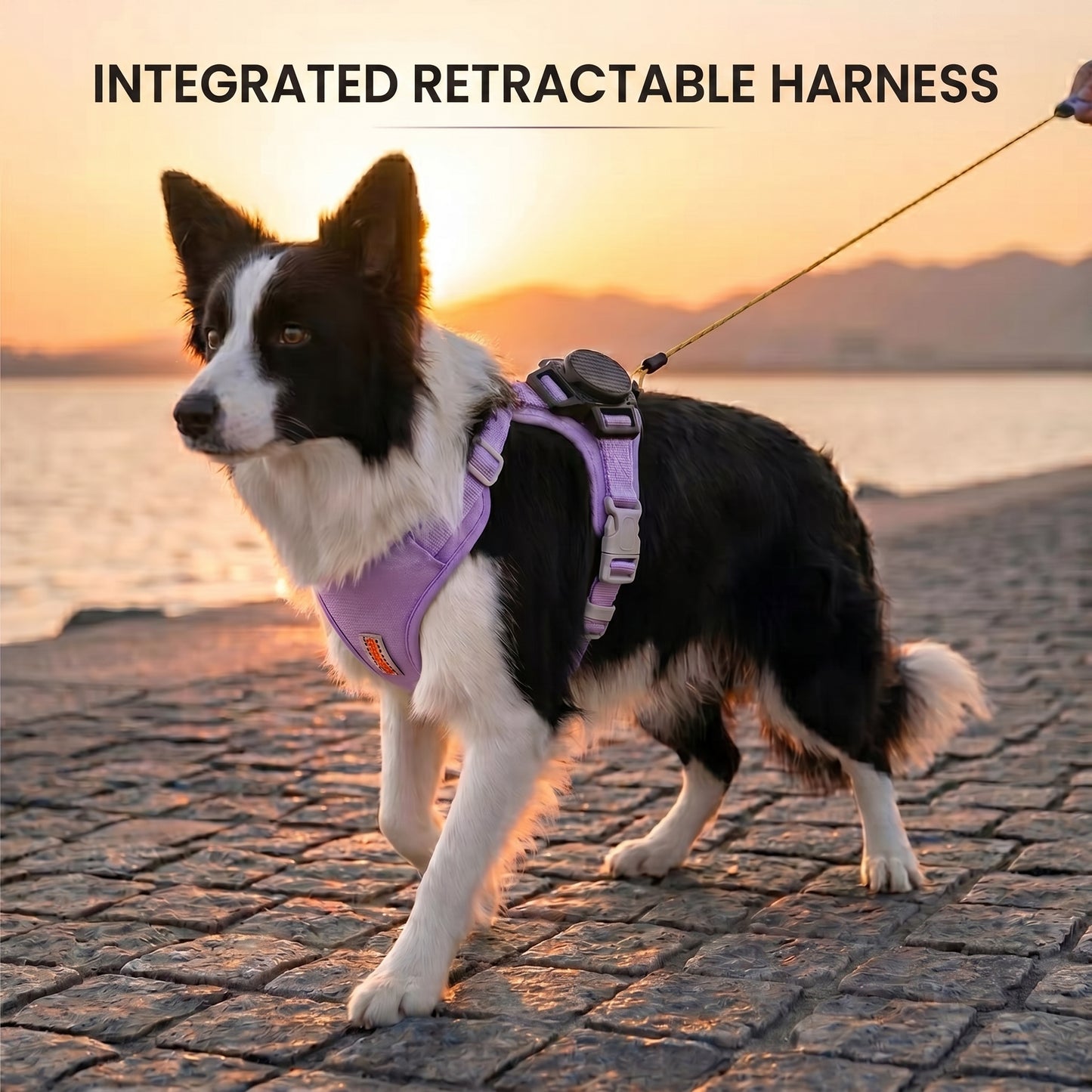 KAVRIONA Pro 2-in-1 Auto-Retract Leash Dog Harness