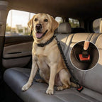 Heavy Duty ISOFIX/LATCH Dog Seat Belt - Anti-Shock Bungee & 360° Swivel (Universal Fit)
