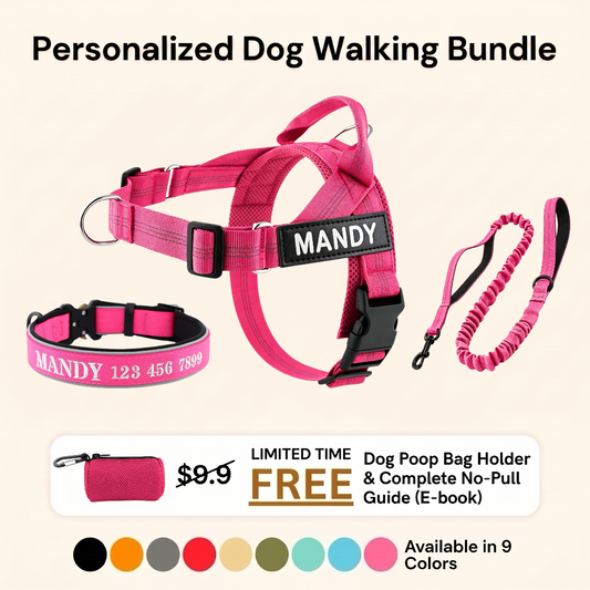 Personalized Dog Walking Bundle