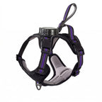 No-Pull Dog Harness with Built-In Retractable Leash | 2-in-1 Adjustable & Reflective Pet Vest