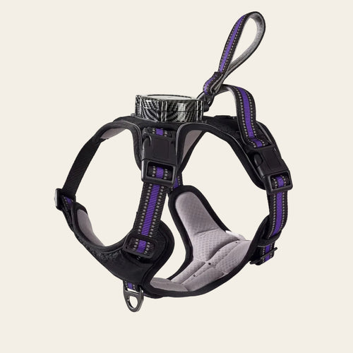 KAVRIONA 2-in-1 No-Pull Dog Harness with Built-In Retractable Leash