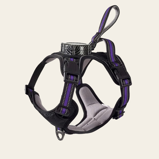 KAVRIONA 2-in-1 No-Pull Dog Harness with Built-In Retractable Leash
