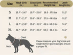 No-Pull Dog Harness with Built-In Retractable Leash | 2-in-1 Adjustable & Reflective Pet Vest