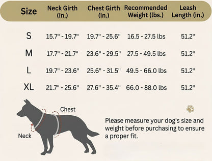 KAVRIONA 2-in-1 No-Pull Dog Harness with Built-In Retractable Leash