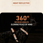 No-Pull Dog Harness with Built-In Retractable Leash | 2-in-1 Adjustable & Reflective Pet Vest