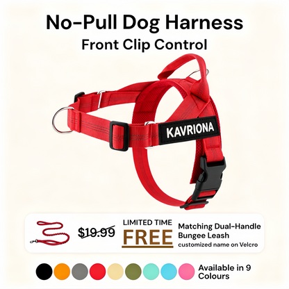 Personalized No-Pull Dog Harness