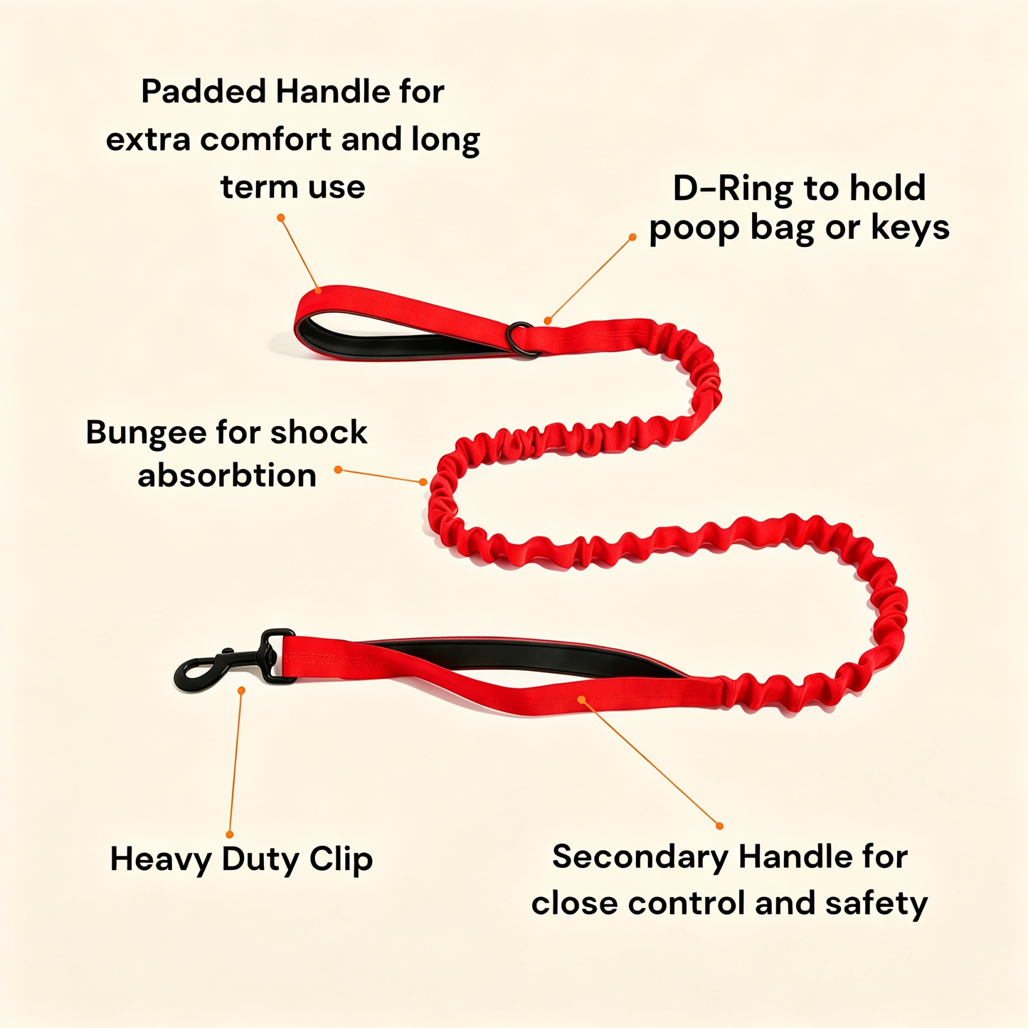 KAVRIONA Bungee Dog Leash