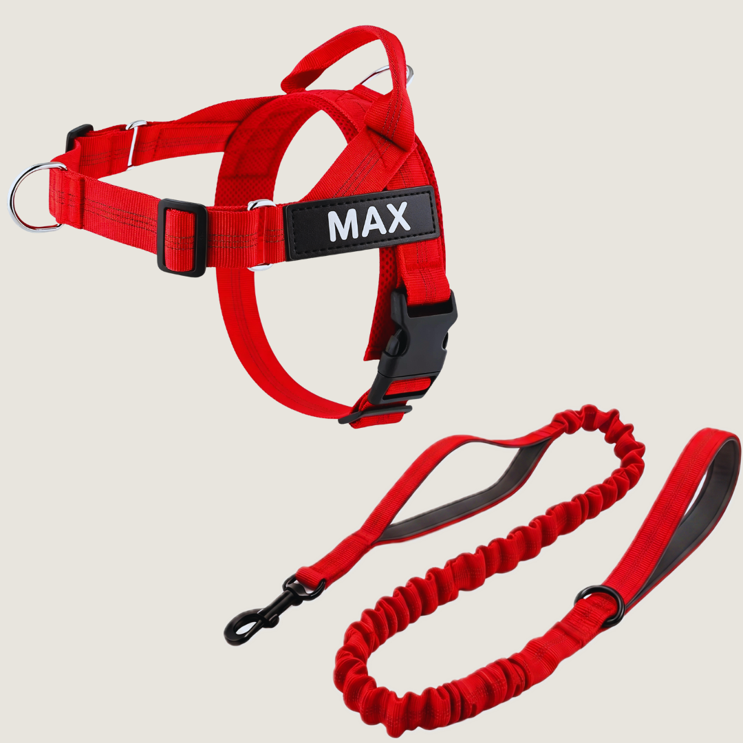 Personalized No-Pull Dog Harness Set