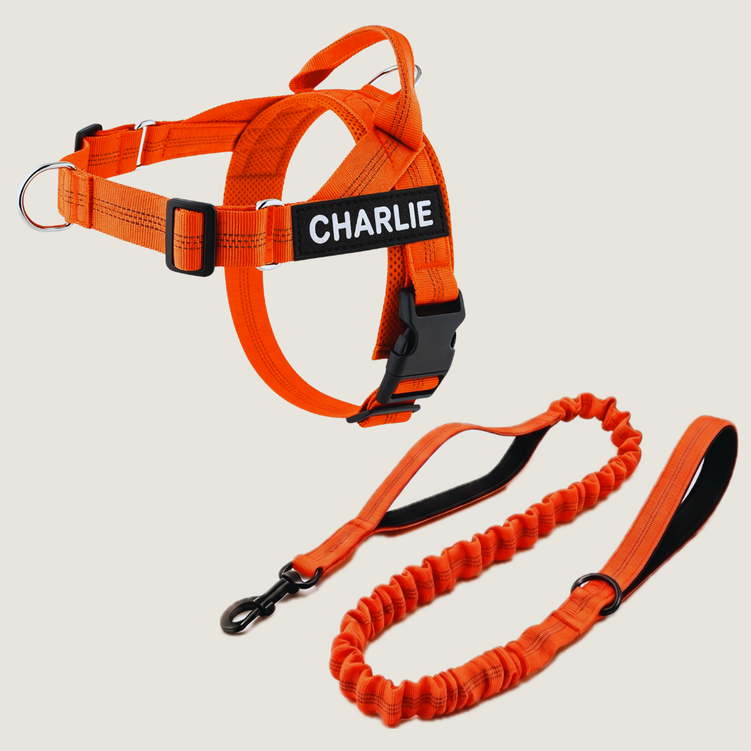 Personalized No-Pull Dog Harness Set