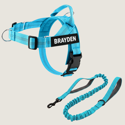 Personalized No-Pull Dog Harness Set
