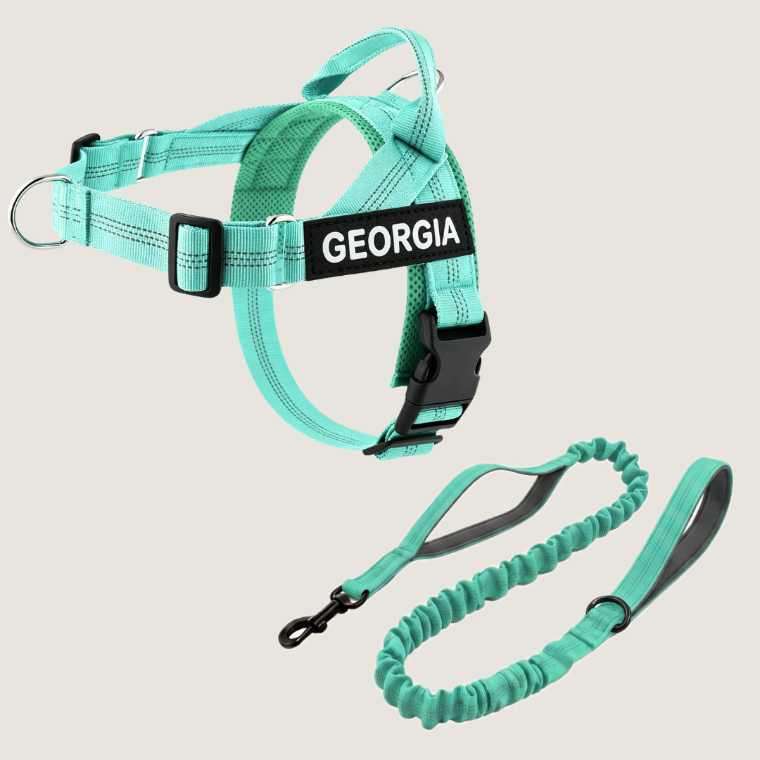Personalized No-Pull Dog Harness Set