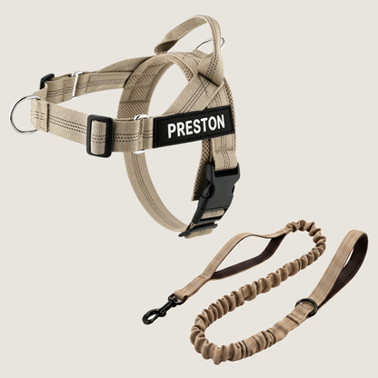 Personalized No-Pull Dog Harness Set