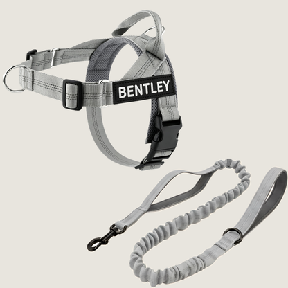 Personalized No-Pull Dog Harness Set