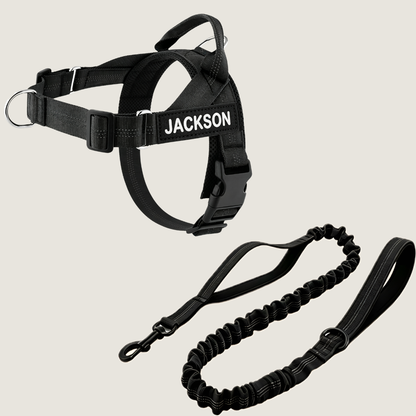 Personalized No-Pull Dog Harness Set