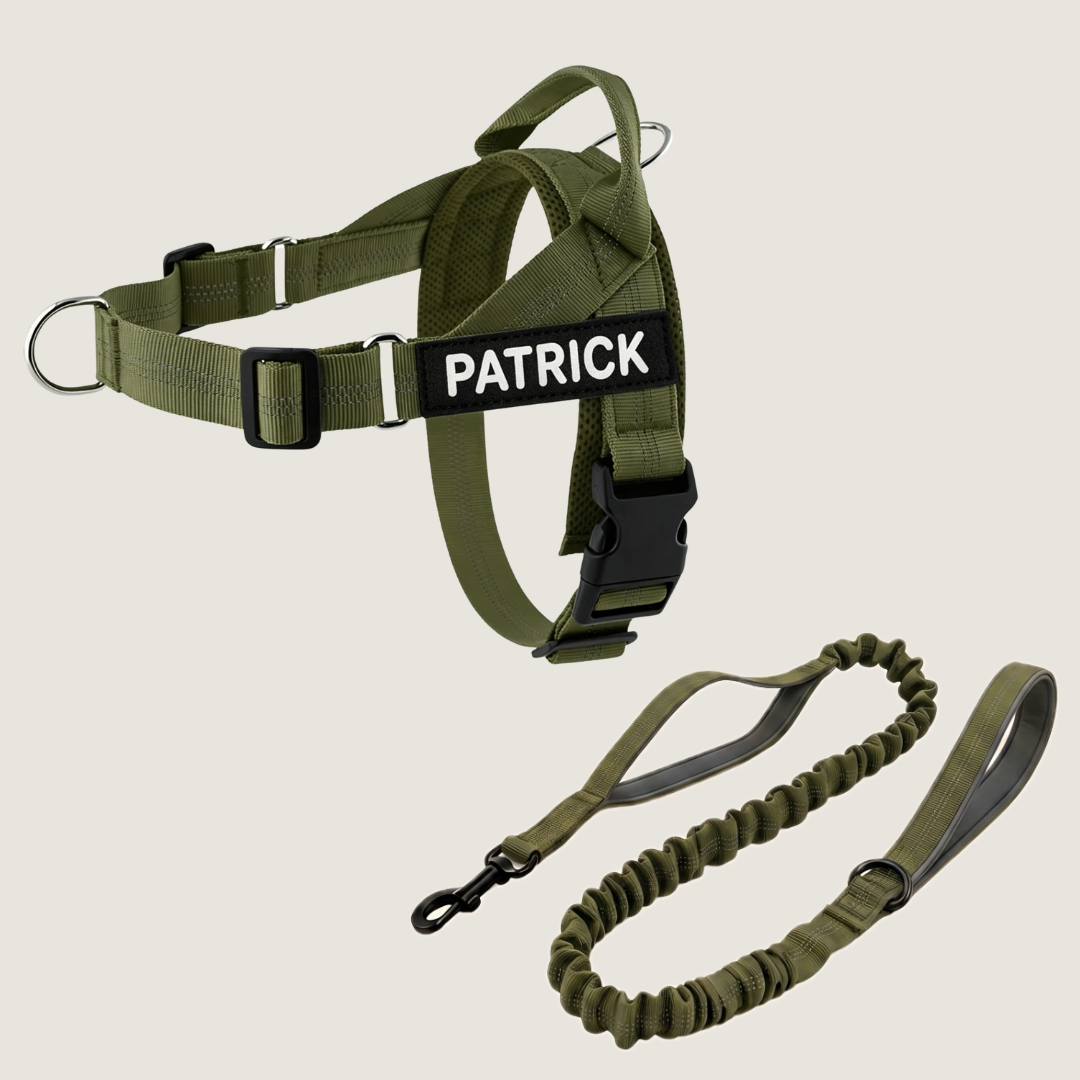 Personalized No-Pull Dog Harness Set