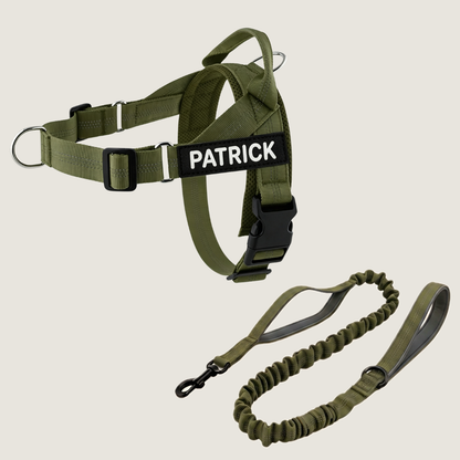 Personalized No-Pull Dog Harness Set