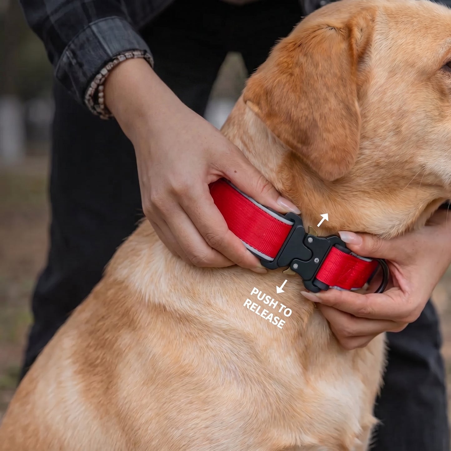 Personalized Embroidered Dog Collar