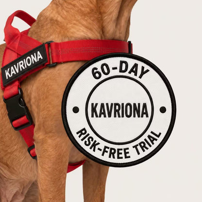 Personalized No-Pull Dog Harness
