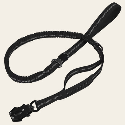 KAVRIONA Heavy Duty  Bungee Dog Leash