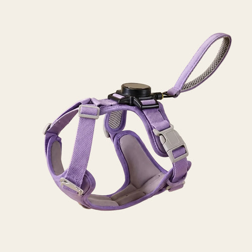 KAVRIONA Pro 2-in-1 Auto-Retract Leash Dog Harness