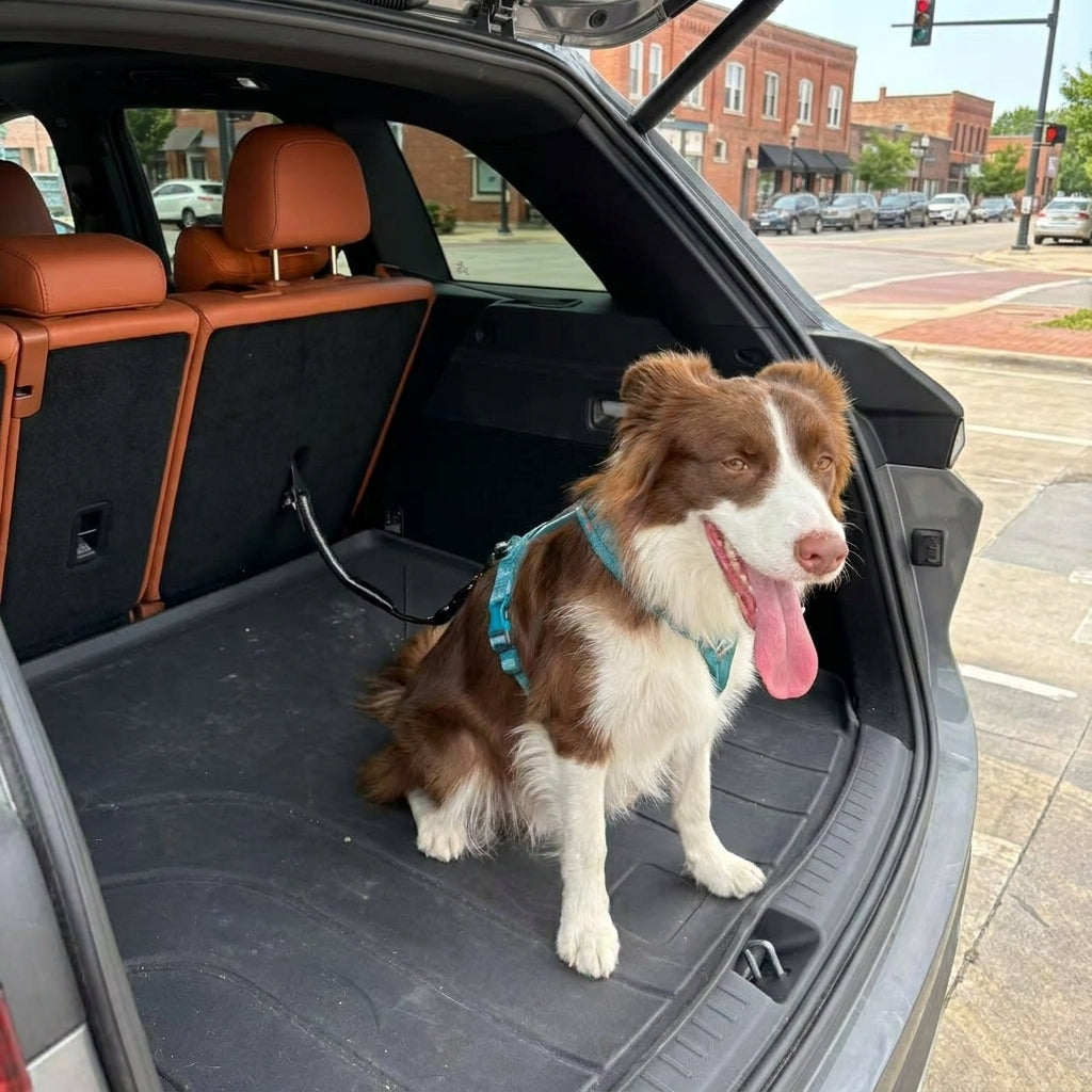KAVRIONA Heavy Duty Bungee Dog Seat Belt