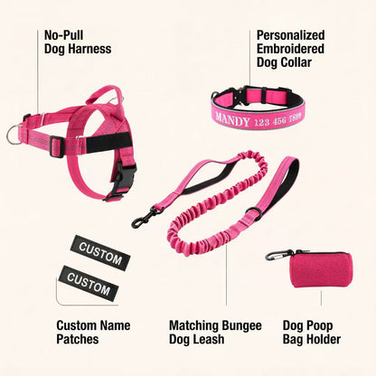 Personalized Dog Walking Bundle