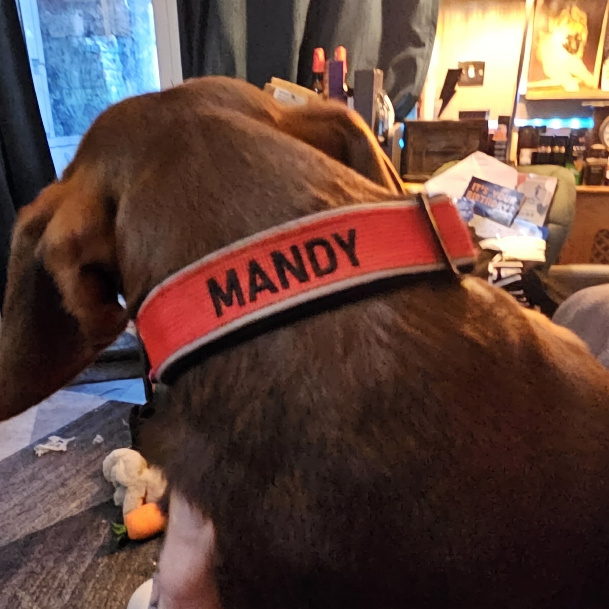 Kavriona Customer Review Mandy