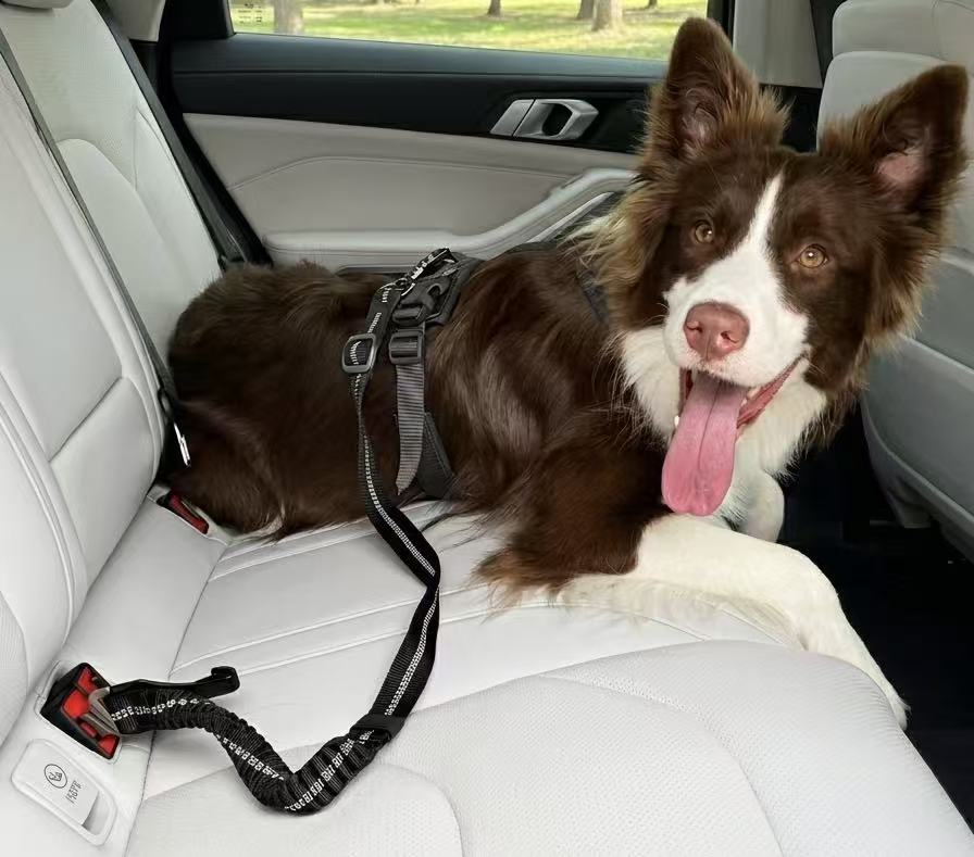 KAVRIONA Heavy Duty Bungee Dog Seat Belt