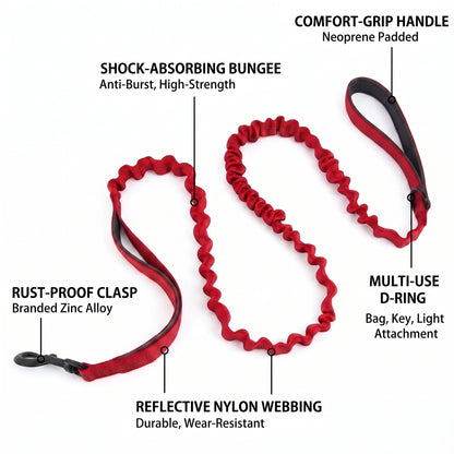 Personalized No-Pull Dog Harness Set