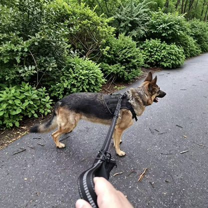 KAVRIONA Heavy Duty  Bungee Dog Leash