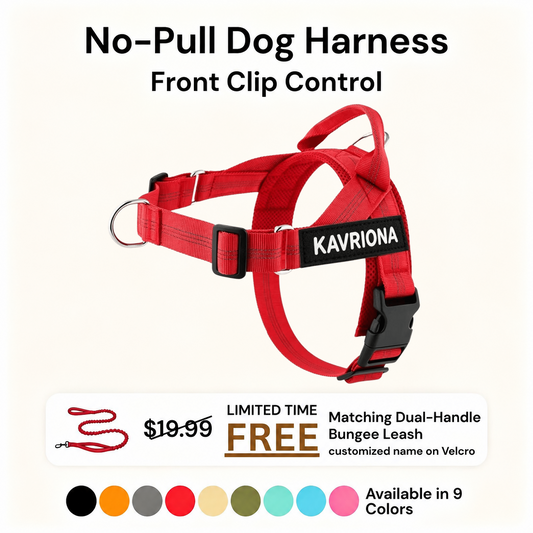 Personalized No-Pull Dog Harness